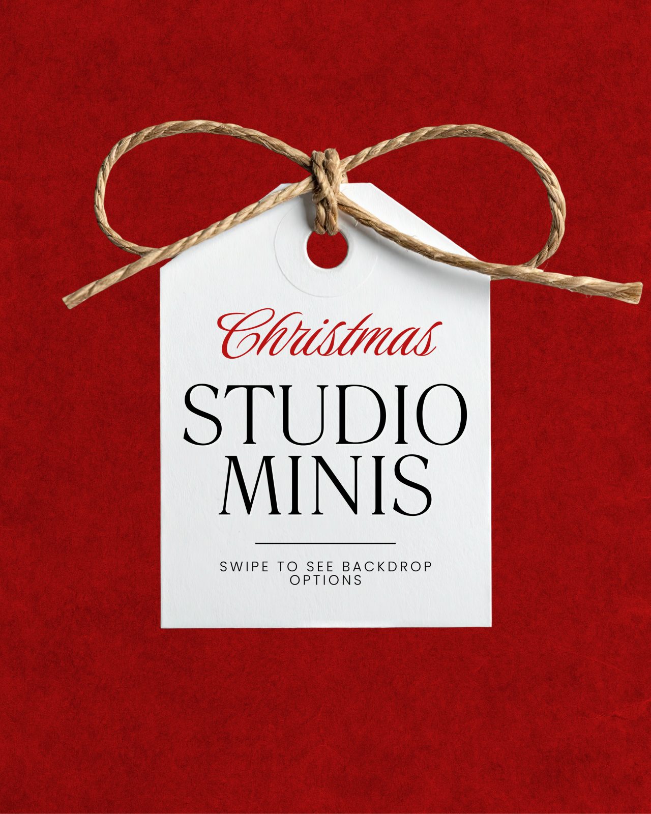 Christmas Minis | 11.21.26 featured photograph